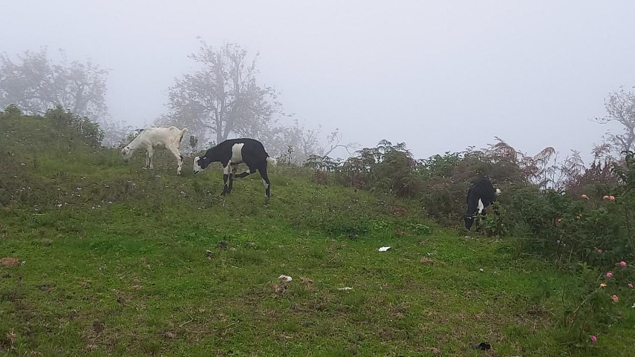 Salora Kodai Tamilnadu - Tamilnadu - Kodaikanal Esterno foto