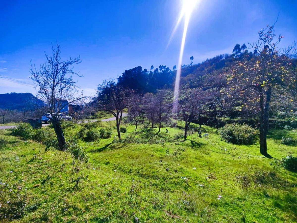 Salora Kodai Tamilnadu - Tamilnadu - Kodaikanal Esterno foto