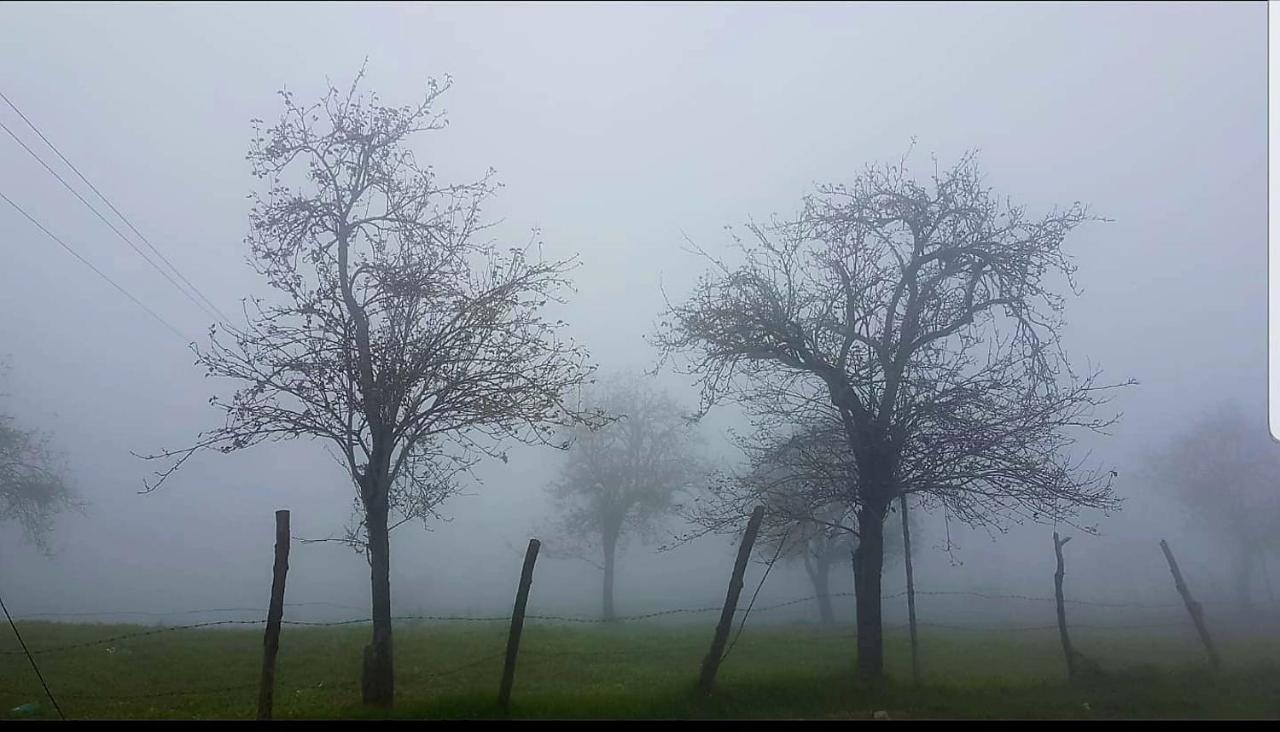 Salora Kodai Tamilnadu - Tamilnadu - Kodaikanal Esterno foto